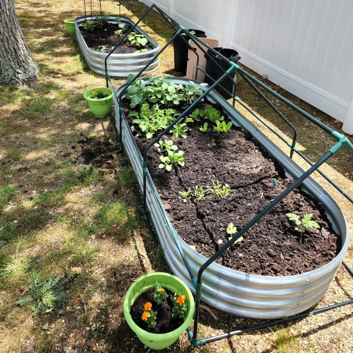 Galvanized Raised Garden Bed Kit, Galvanized Planter Raised Garden Boxes Outdoor, Oval Metal Raised Garden Beds for Vegetables
